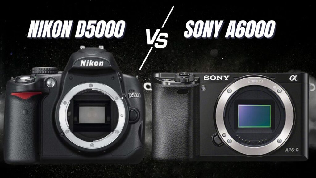 Nikon D5000 vs Sony A6000 – Which One Should You Pick