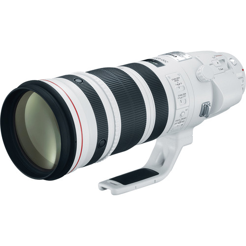 Canon EF 200-400mm f/4L IS USM Extender 1.4x lens 3