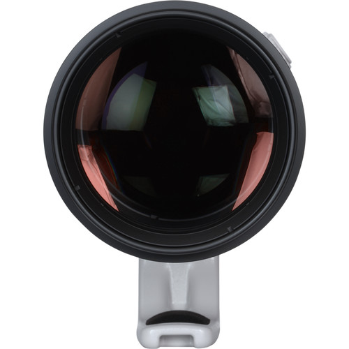 Canon EF 200-400mm f/4L IS USM Extender 1.4x lens 6