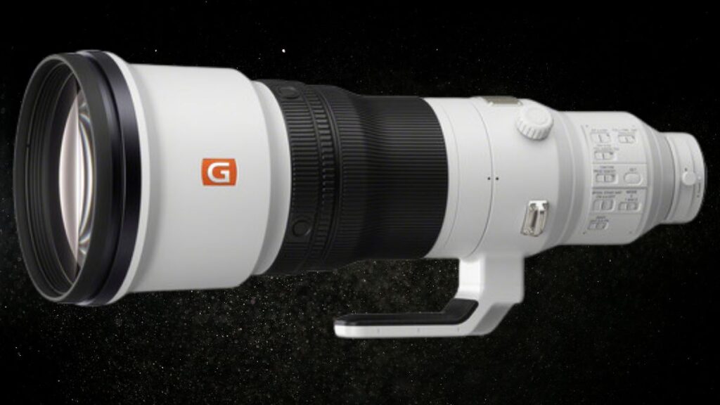 Sony FE 600mm f/4 GM OSS Review: Ultimate Lens for Wildlife & Sports